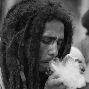 Meet your Posher, Gamaliel